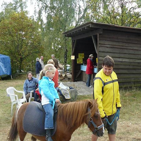 Holiday Home In Wietzendorf In The L Neburg Heath With A View Of The Countryside Exterior photo