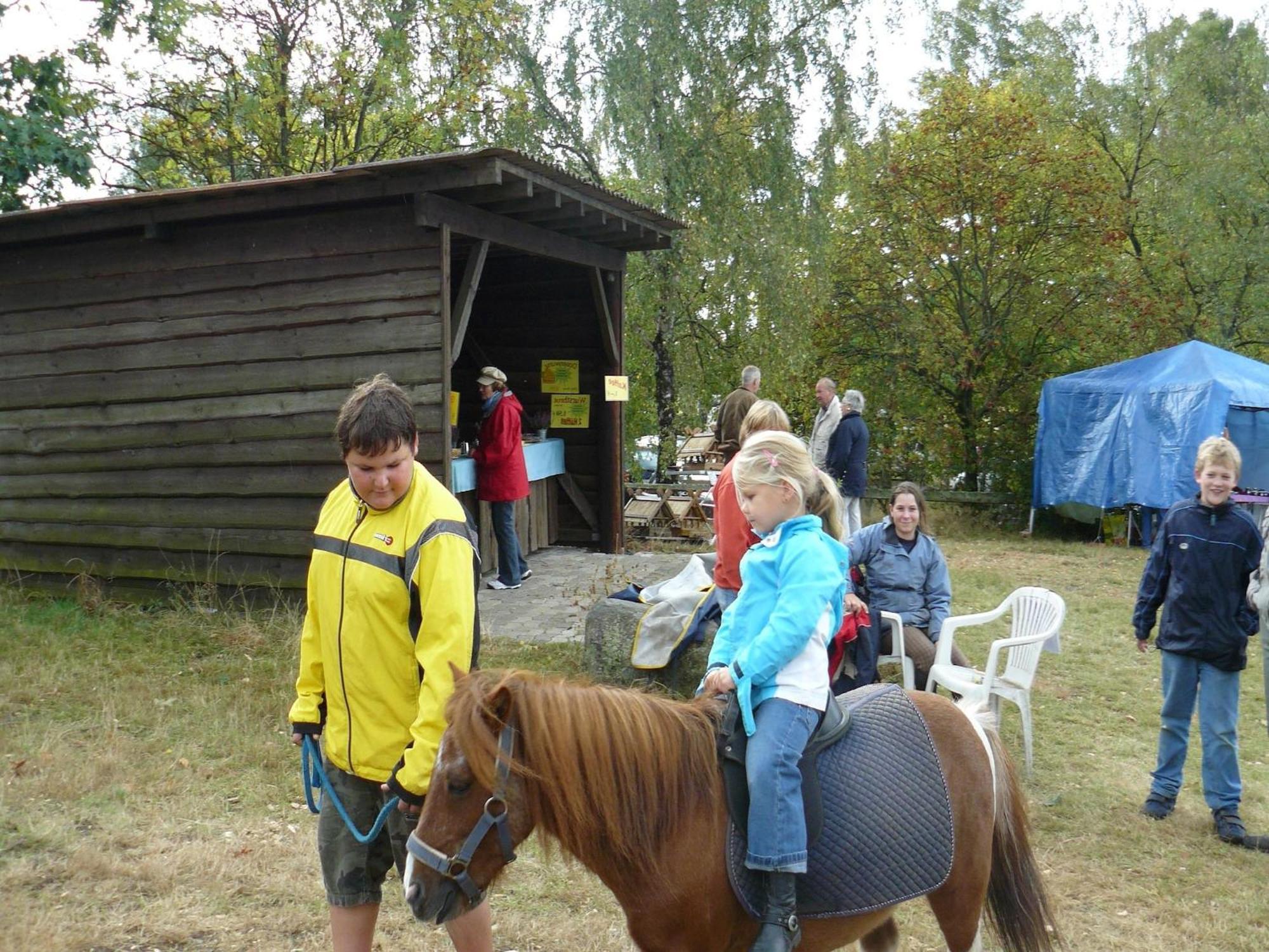Holiday Home In Wietzendorf In The L Neburg Heath With A View Of The Countryside Exterior photo